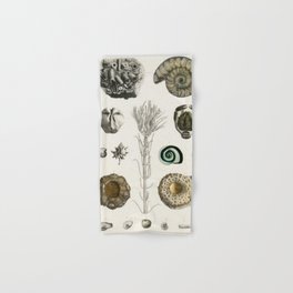 Naturalist Fossils Hand & Bath Towel