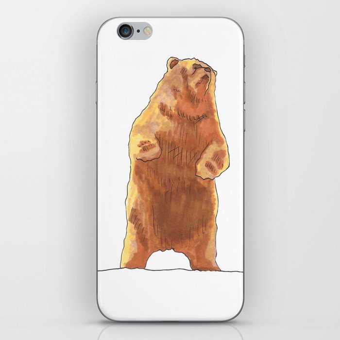 Cute Bear  iPhone Skin