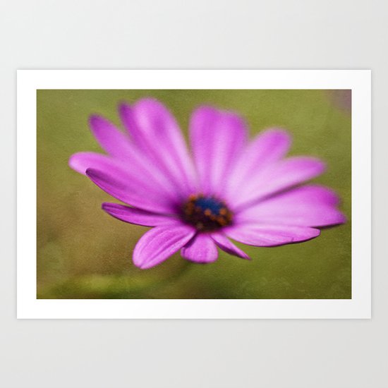Purple Textured Flower II Art Print