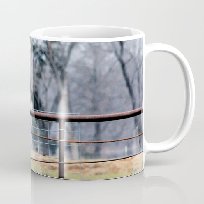 Texas Longhorn Morning Coffee Mug