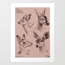 Deers Collection Print  Art Print