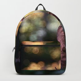 Nature fazination Backpack | Leaves, Color, Naturfotografie, Nature, Marco, Natur, Leaf, Photo, Homedecor, Makro 