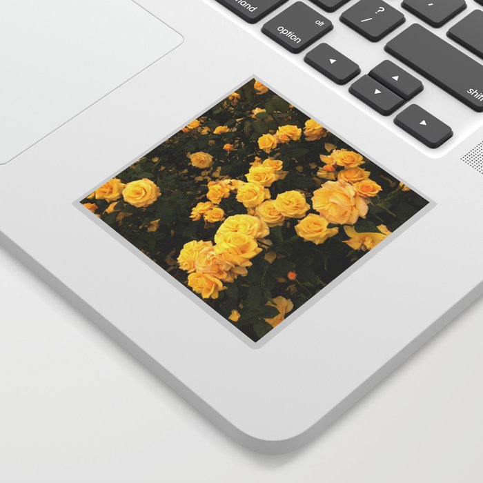 Sprinkles of Sunshine Roses Sticker