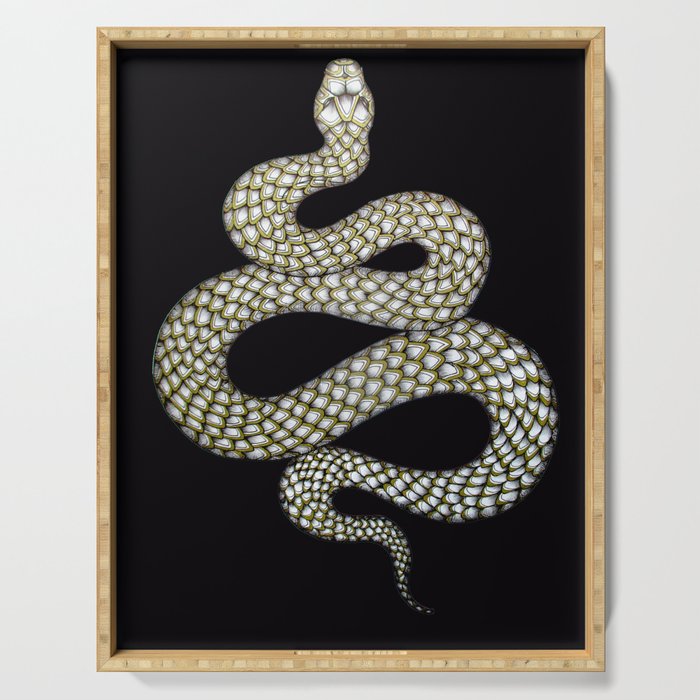 Snake's Charm in Black Serving Tray