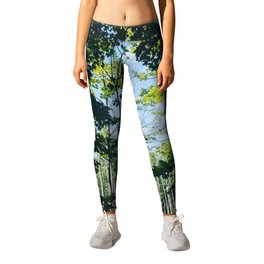 Wetlands in Full Swing from The Magic Glamp in Argyle Upstate New York Leggings | Sky, Cottagecore, Woodland, Trees, Vickinoble, Wetlands, Forest, America, Newyork, Noblehomestead 
