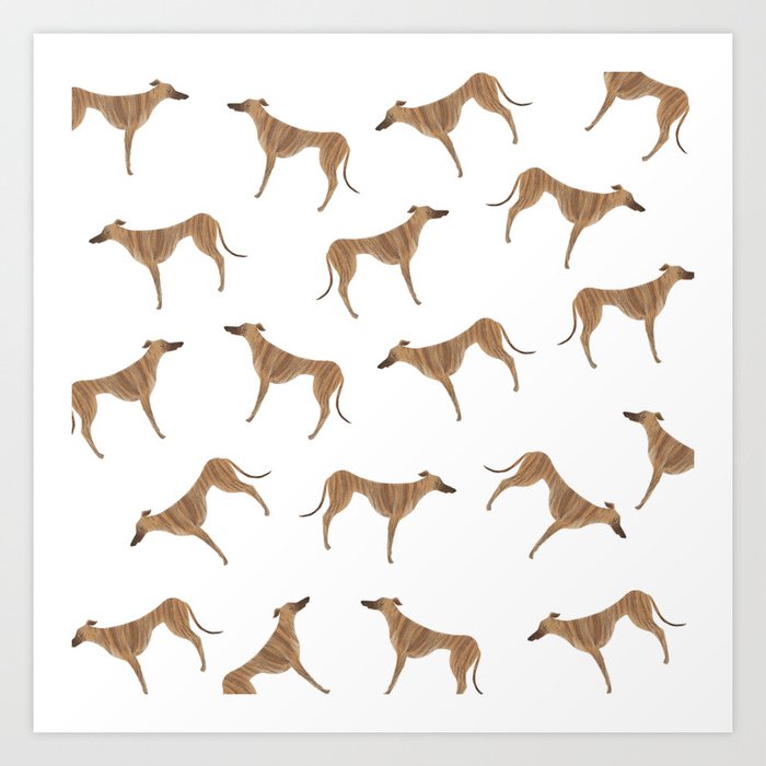 Tiger Greyhound Art Print