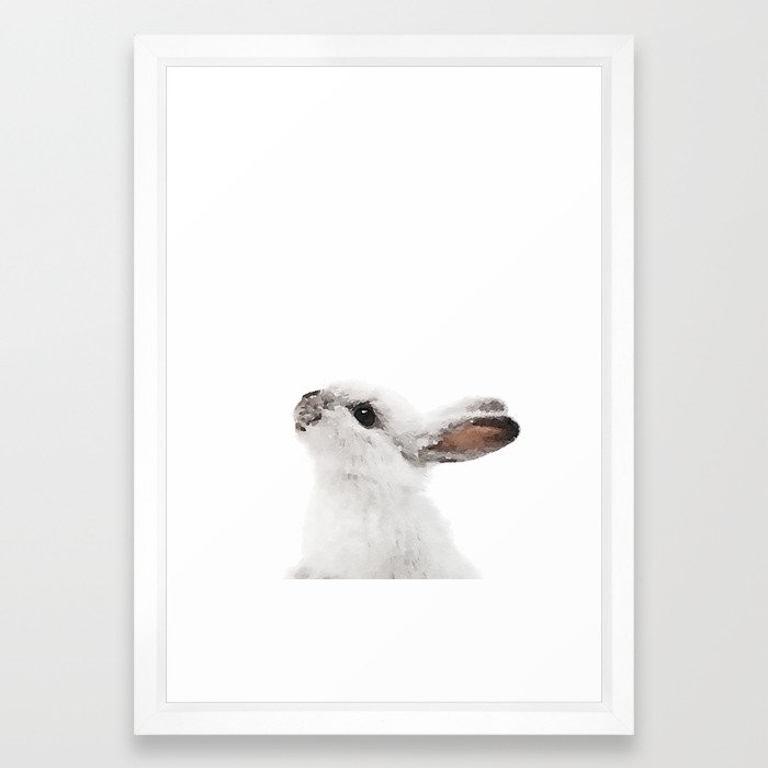 framed bunny pictures for nursery