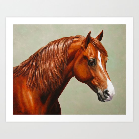 Chestnut Morgan Horse Art Print