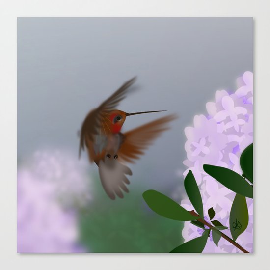 Hummingbird Canvas Print