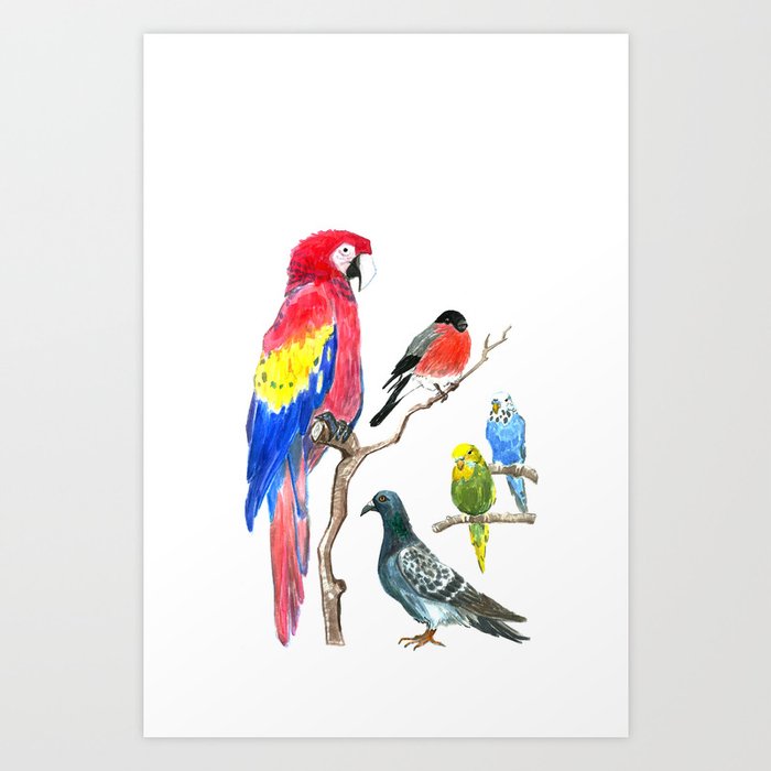 Birds 1 Art Print