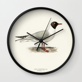 Black-headed gull  (Larus ridibundus) illustrated by the von Wright brothers Wall Clock