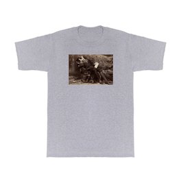 Oscar Wilde Lounging Portrait T Shirt | Oscar, Photo, Film, Black And White, Oscarwilde, Pose, Lounging, Recline, Napoleonsarony, Repose 