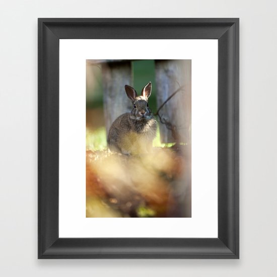 Backyard Friend Framed Art Print