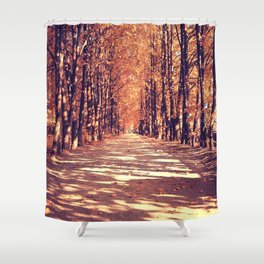 The path in the autumn forest Shower Curtain