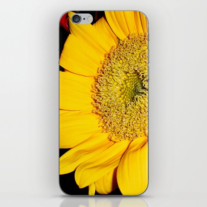 Sunflower #2 iPhone Skin