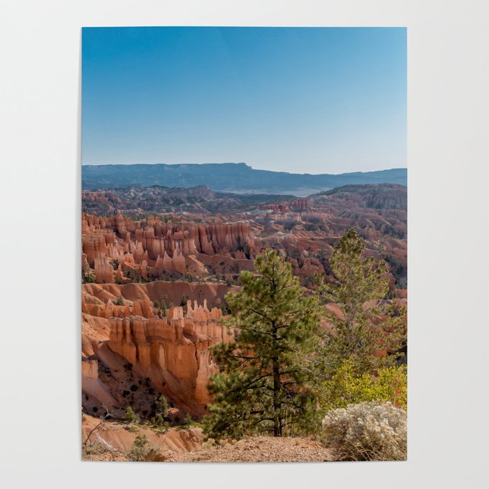 View over Bryce Canyon National Park Poster