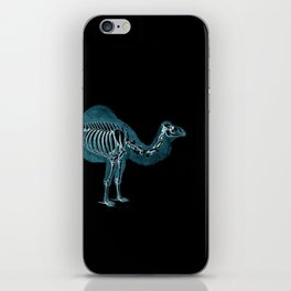 Camel X-ray - Camel Print - Camel Wall Art - Animal X-ray iPhone Skin