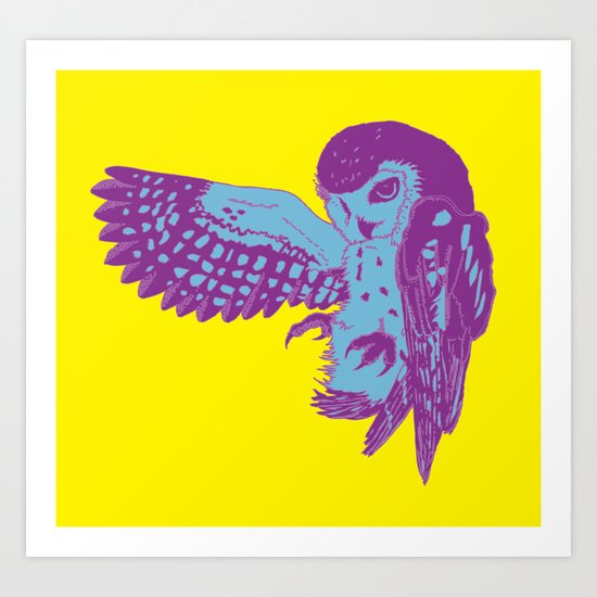 Saw-Whet Owl Art Print