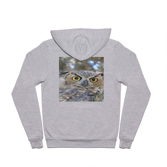 Young Owl at Noon Hoody