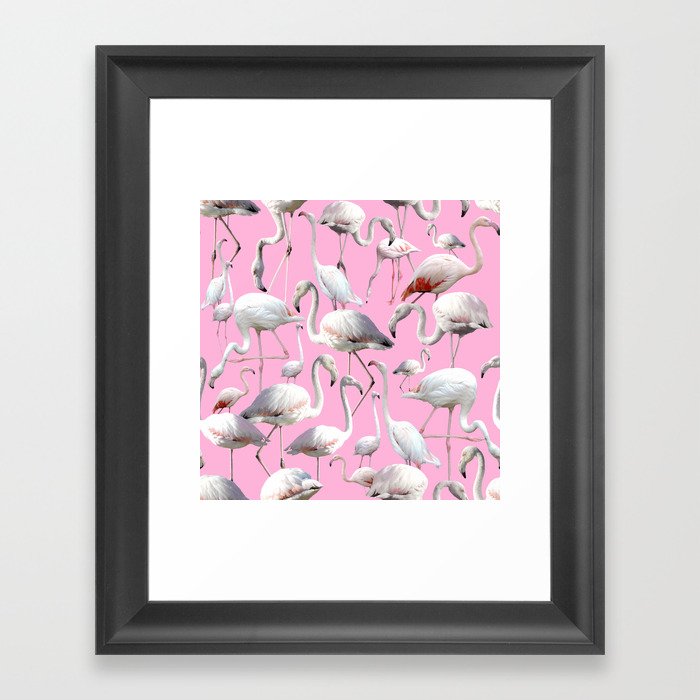 Flamingo | Phoenicopteridae Framed Art Print