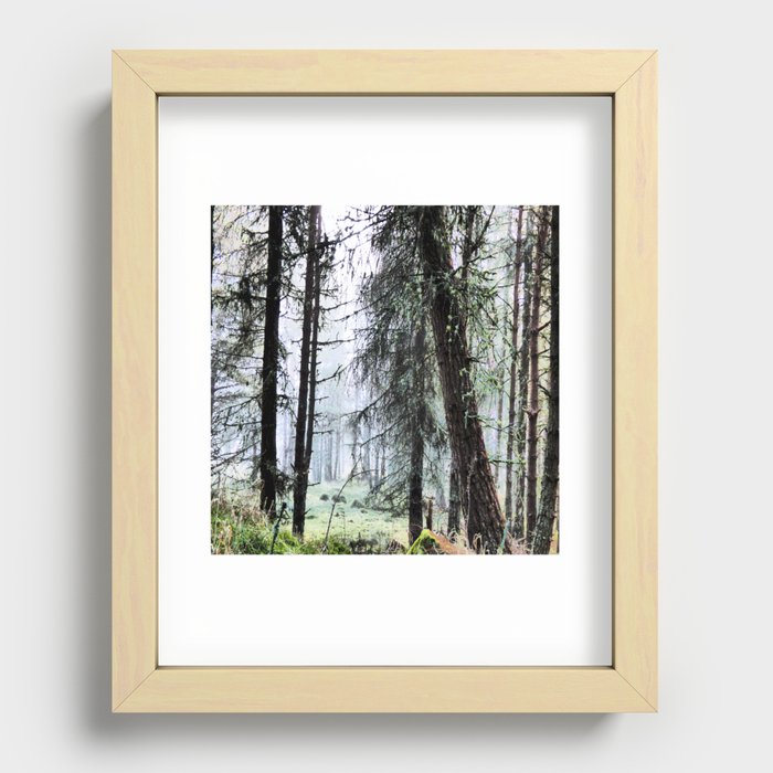 Scottish Pine Forest Misty View in I Art and Afterglow  Recessed Framed Print
