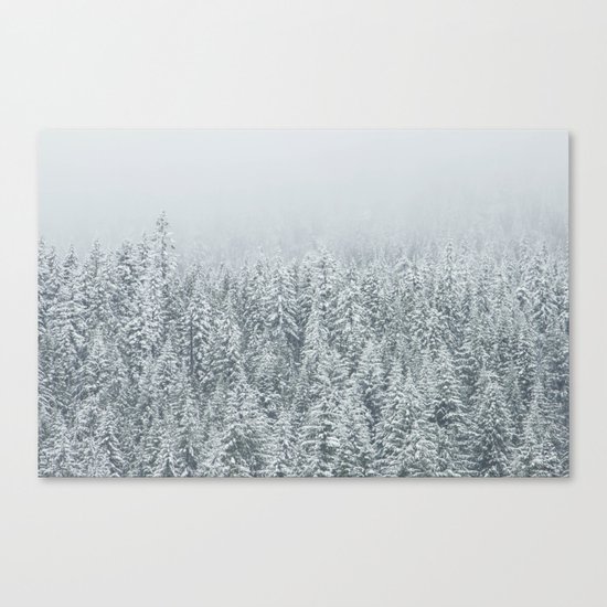 snow forest winter trees Canvas Print