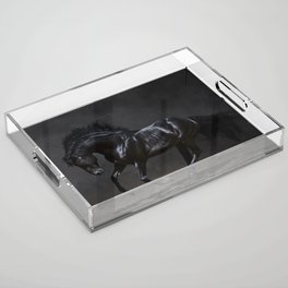 Black Horse Acrylic Tray