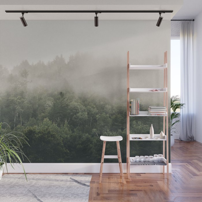 Forest Fog Photography Woods Misty Mist Dew Kaszuby Canada Nature Wall Mural By Wildhood - Forest Wall Decal Canada Forest Fog Photography Woods Misty Mist Dew Kaszuby Canada Nature Wall Mural By Wildhood - Forest Wall Decal Canada