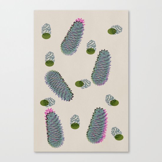 Pine cone Canvas Print
