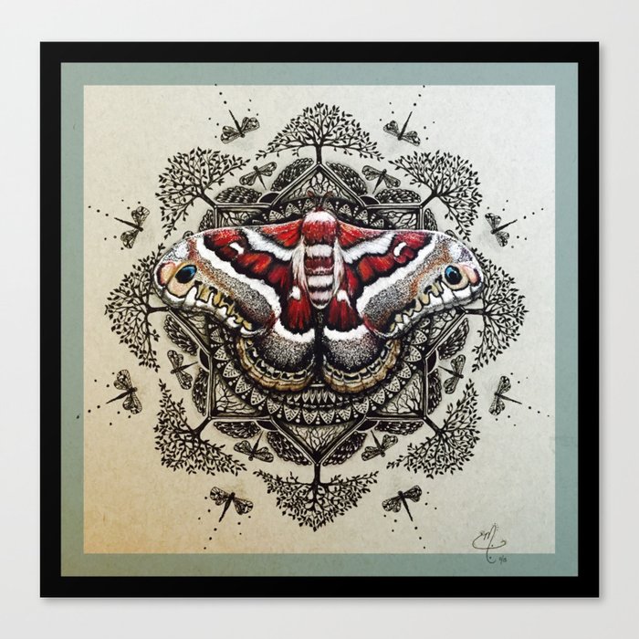 Red Moth Mandala With Border Canvas Print