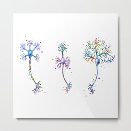 Multipolar Neurons Watercolor Brain Cell Metal Print