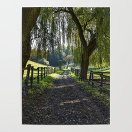 Weeping Willow Trail Poster