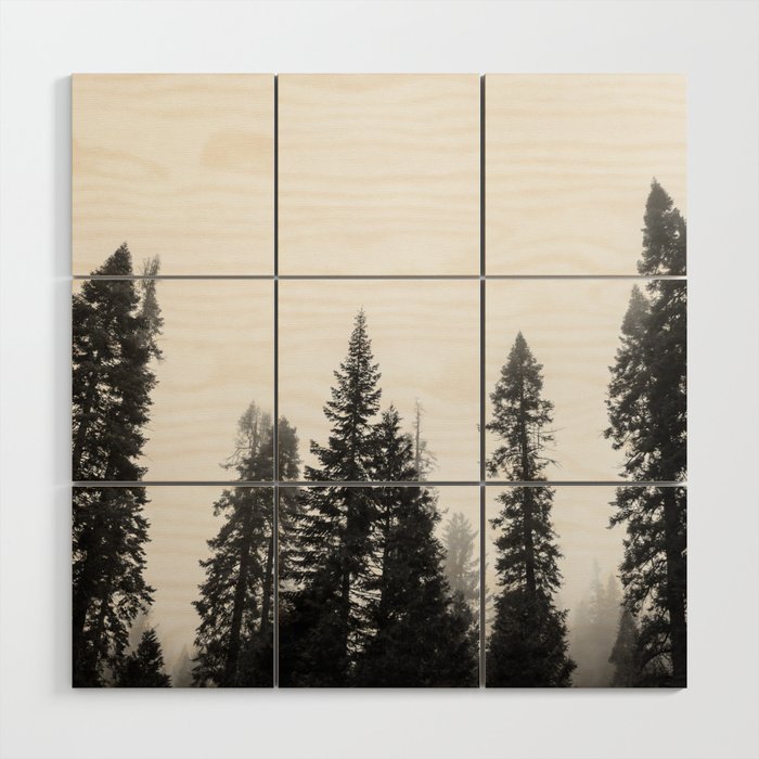 Deep in the Forest of Yosemite Wood Wall Art