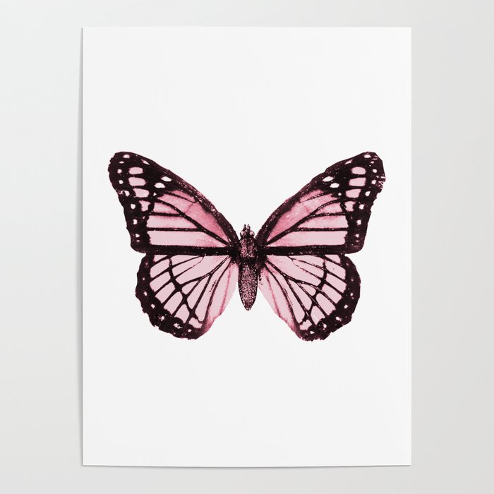 Monarch Butterfly Pink Dream Poster