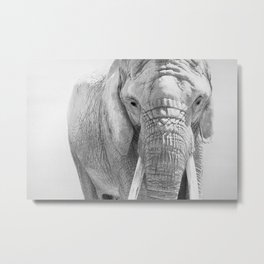 Elephant Photography | Wildlife Art | African Elephant | Nature | Black and White Metal Print | Elephant Home Decor, Cottage Decor, Africanwildlife, Minimal, Africanart, Elephant, Wildlife, Fine Art, Moody, Elephant Prints 