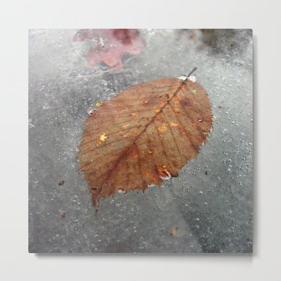 cold winter III Metal Print