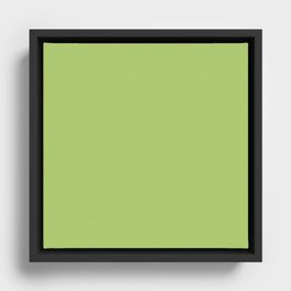 Young Leaves Framed Canvas