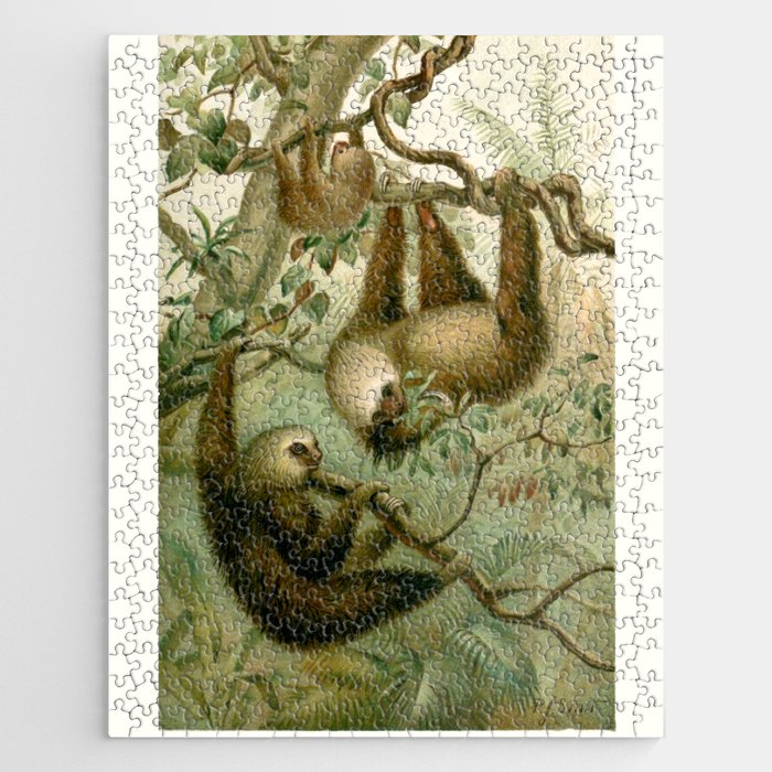 The Two-Toed Sloth Jigsaw Puzzle