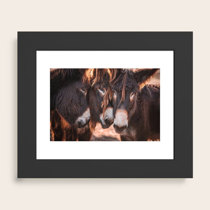 Framed Art Print