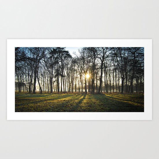 The Long Shadows Art Print