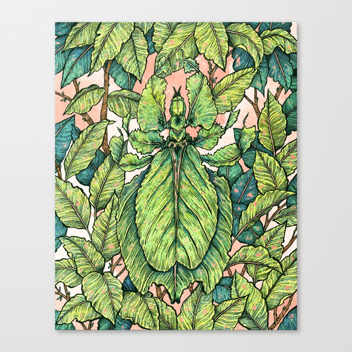 Leaf Mimic Canvas Print