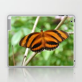 Brazil Photography - The Dryadula Phaetusa Butterfly Laptop Skin