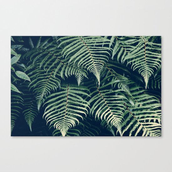 Fern Beach Canvas Print