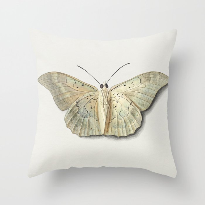 White Moth Throw Pillow