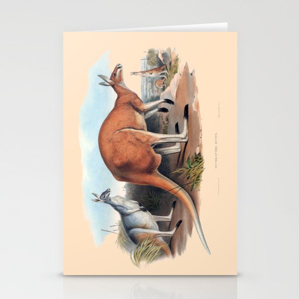 The Red Kangaroo Stationery Cards