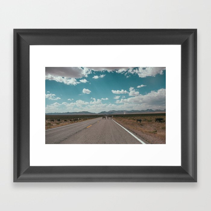 cows on the open road Framed Art Print