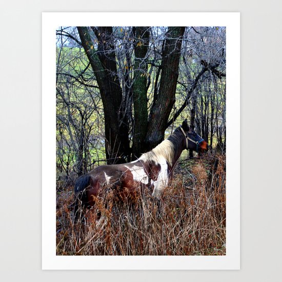 Horse with Blue Bridle Art Print