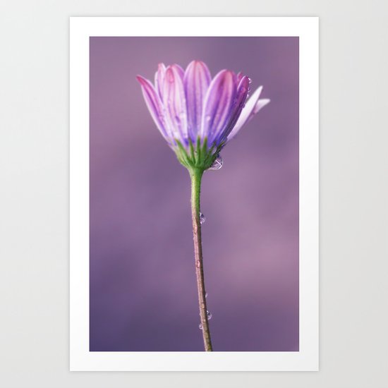Pink flower Art Print