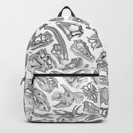 Paleontology Dream Backpack