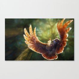 Caught in the moment Canvas Print